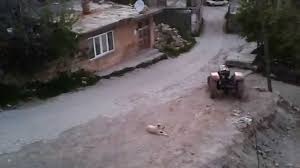 Ezan Okunurken Kopekler Neden Havlar Youtube