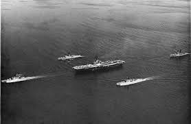 Image result for Gray 1971 Fleet