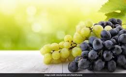 Image result