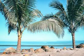 Hotels ecuador in direkter strandlage. 7 Ecuador Insidertipps Fur Ganz Besondere Ausfluge