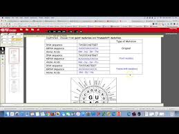 Amoeba sisters video recap genetic drift answer key pdf. Amoeba Sisters Mutations Worksheet Answer Key Jobs Ecityworks