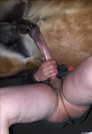 Dude enjoying gay frottage with a horny stallion