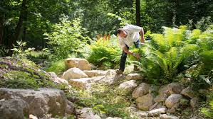66 ziyaretçi botanischer garten ziyaretçisinden 10 fotoğraf ve 3 tavsiye gör. Okologie Botanischer Garten Es Grunt So Grun Im Farntal Sudwest Presse Online