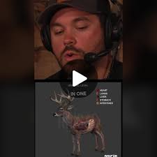 Are deer surviving “one lung” shots? New podcast in bio link breaking ...