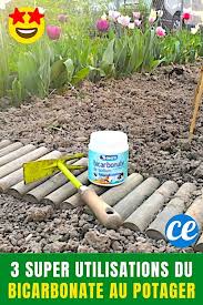 Epingle Sur Plantes Et Jardinage