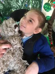 It is with great sadness to let our school community know of the passing  last Sunday, after a short and sudden illness, of one our much loved  students, Alexzis Bollard. Alexzis will