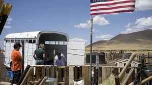 One rug: From shearing to auction