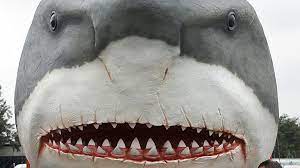 Ap/bay area news group, aric crabb Carcharocles Megalodon Der Ausgestorbene Superhai Dlf Nova