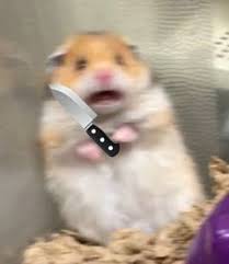 Scared Hamster Meming Wiki