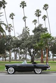 Image result for Raven Black 1956 Thunderbird