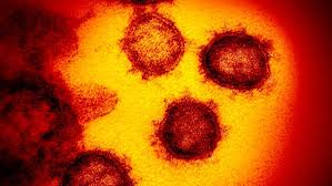 A weak positive coronavirus case has been detected in perth, the premier says. 4 New Cases Of Covid 19 Confirmed In Hamilton 1 New Case In Burlington Cbc News