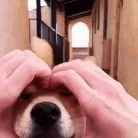 Instreamset:niezawodna pomoc w nauce &.asp?player= : Pomoc Z Permisja If Player Has Not Pytania I Problemy Skript Pl Najlepsza Polska Spolecznosc Minecrafta