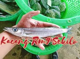 This page provides all possible translations of the word susu in almost any language. Pembekal Ikan Segar Home Facebook