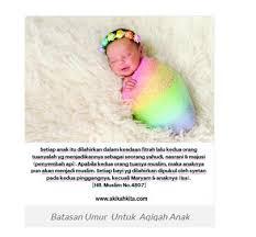 Aqiqah sebenarnya berarti menyembelih hewan sesuai dengan ketentuan islam. Ketentuan Dan Syarat Hewan Aqiqah Beserta Jumlah Hewan Yang Akan Di Aqiqah By Siti Zulaiha Medium