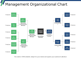 Management Organizational Chart Powerpoint Slide Backgrounds