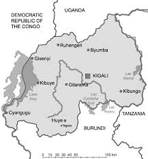 Image result for Rytigynia monantha