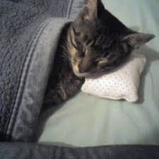 Stream Stephen Keyes