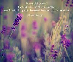 We did not find results for: All Faiths Cremation Society Shawna Lemay Was Inspired To Write A Poem After A Friend S Father S Obituary Requested In Lieu Of Flowers Please Take A Friend Or Loved One Out For