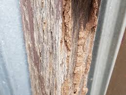 Your building inspectors made the process of getting a pest and building inspection very easy. Pest Inspections Adelaide Sc Building Inspections