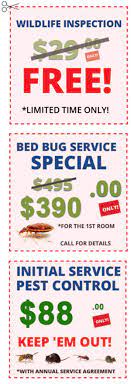 For pest control in auburn and southern maine, count on pine state pest solutions. Action Termite And Pest Control Opens New Office In South Toms River Nj Pest Control Monmouth County Nj Monmouth Termite Pest Exterminator Action Pest Control