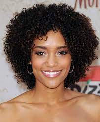 Pin By Hair Kut On Short African Braids Hairstyles Curly Hair African American Curly Lace Wig Short Curly Wigs