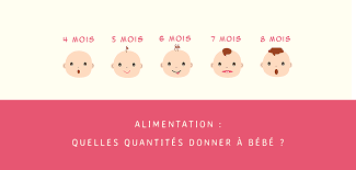 Diversification Alimentaire De Bebe Les Quantites Cooking For My Baby Recette Diversification Alimentaire Nourriture Bebe Alimentation Bebe