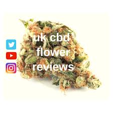 Uk Cbd Flower Reviews Flowerreviews Twitter