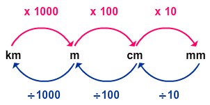 metric units of length quiz turtle diary