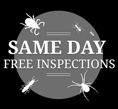 The most complete information about stores in palm coast, florida: Palm Coast Pest Control Pest Control Service In Jupiter Fl