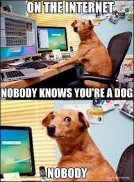 The best memes from instagram, facebook, vine, and twitter about assad. Syria Why Does Bashar Al Assad Have To Go And Do The Syrian People Have A Say Singletrack Magazine Forum Funny Dog Memes Funny Dogs Funny Pictures