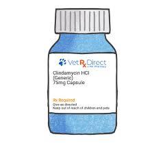 Image result for Clindamycin