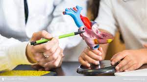Pericarditis Texas Heart Institute