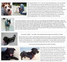 Our best professional daily dog walkers, & pet services is. Shop Critters Pet Shop Sita S Dog Sanctuary Rescue