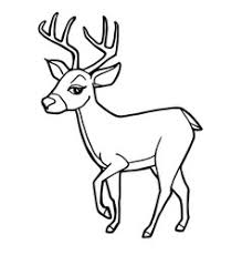 For boys and girls, kids and adults, teenagers and toddlers, preschoolers and older kids at school. Cartoon Cute Deer Coloring Page Royalty Free Vector Image