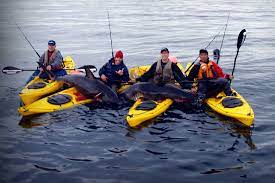 World record salmon shark kenneth higginbotham pictures. How Salmon Shark Fishing Started The Big Game Craze Kayak Angler