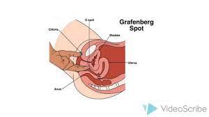 What do we mean by squirt? How To Make A Girl Squirt Youtube