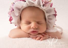 Shirley Phifer Photography