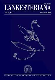 Image result for Malaxis weberbaueriana