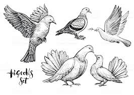 Hand Drawn Simple Bird On Branch Drawing Doves Hand Drawn Illustration Vector Line Art With Couple Of How To Draw Hands Drawing Set Free Vector Art