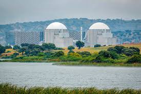 Rita porcu nudista In particolare, ci è piaciuto il