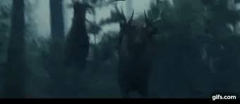 Hunting the biggest wolf scene | rampage. Rampage 2018 Wolf Fight Hindi Dubbed Animated Gif