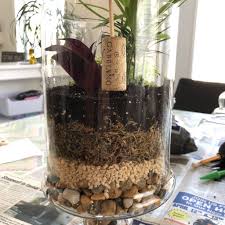 Closed Terrarium 101 7 Easy Steps To Build Your Glass Terrarium My Tasteful Space Glass Terrarium Plant In Glass Terrarium
