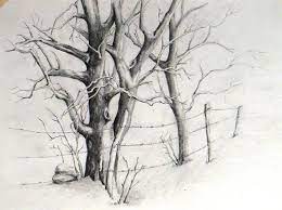 Pin On Trees Sketch