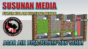 Cara membuat saringan air kolam ikan. Susunan Media Filter Kolam Koi Yang Benar Agar Air Bisa Jernih Dan Sehat Youtube
