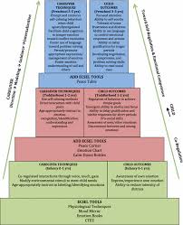 The Importance Of Emotional Competence And Self Regulation