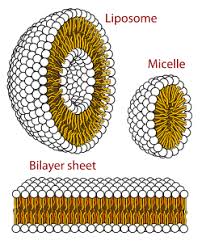 Molecular Interactions (Noncovalent Interactions)
