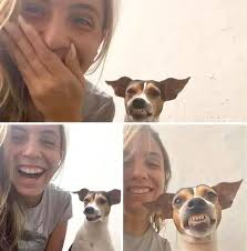 Estaba en mi trabajo y él se sentó a mi lado y le dije: "saquémonos unas  fotos, todavía no tengo una contigo". ¡Y el cachorrito sonrió! ✨🐾🕊️❤️