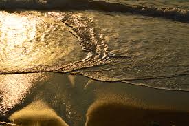 水族館でまさかの水没！？恐るべし鴨川シーワールド・・・。 | iphone修理のプロテクター「モバプロ」109町田店