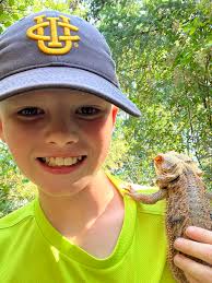 Lost bearded dragon near 22nd and D Ave in Anacortes