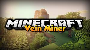If you're lazy or just don't want to spend a ton of time mining ores block by block, you might really like the veinminer mod. Vein Miner Mod For Minecraft 1 17 1 1 16 5 1 15 2 Minecraftore